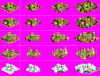 native american all pre.PNG