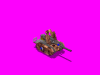 BasiliskPreview.gif
