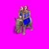 Elephant Archer.jpg