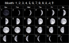d Moon Phases.png