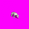 TempleDogz.gif