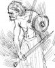 gaul.jpg