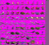 ToT Units.png