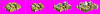 egypt pre.PNG