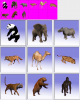 animal resources.PNG