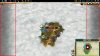 bug.jpg