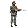 USMC M1A1 Carbine.png