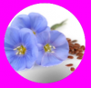 upload_2018-1-20_14-6-40.png