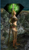 druid.PNG