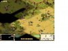 turkey starting next.JPG