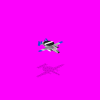 E2C Hawkeye.gif