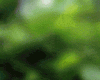 ShowLetter.gif
