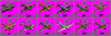 Tanelorn Swedish air force WWII.png