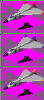 cf-105_arrowmulcol.gif