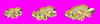 Preview.gif
