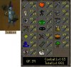 RSsubbssPic.JPG