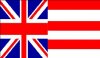 dgvi flag 2.JPG