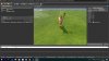 asset editor tutorial 1 what I got 2.jpg