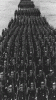 Image%20%2314.gif