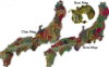 Maps.png