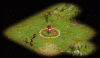 c1.gif