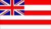 DGVI Flag.JPG