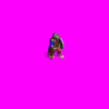 HobbitSpearmanDemo.gif