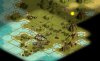 SW04_early_settler.jpg