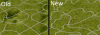 Paved Roads.png