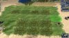 Civ4ScreenShot0223.JPG