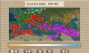 rorminimap.jpg