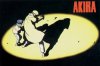 akira8.JPG