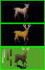 captvk-deer.png