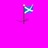 ScottishFlag.gif