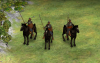 Tibet_knight.png