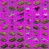 smelly.GIF