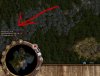 TXT_KEY Bug Algonquian.JPG