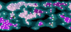 purple.gif