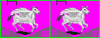 pegasuas.GIF
