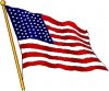 USA Flag.jpg