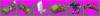 6rips.PNG