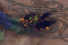 FORET.gif