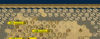 too_many_ice.png