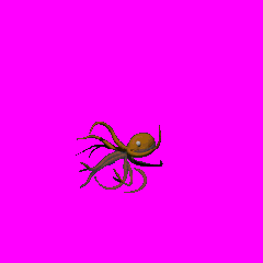 squid_attack.gif