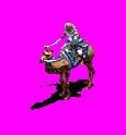 camelrider.jpg
