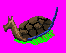 turtleship.gif