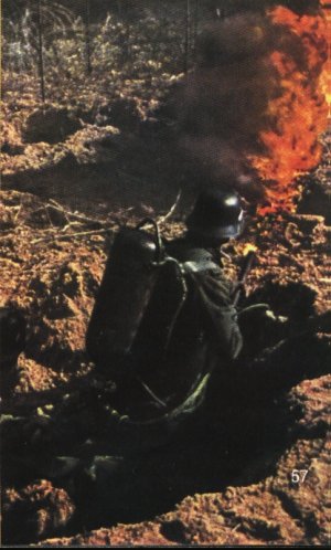 flammen.jpg