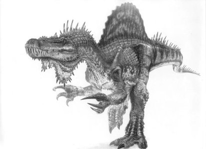 spino3.jpg