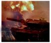 leopard22.jpg