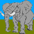 elephant_JPG.jpg